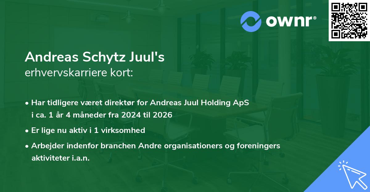 Andreas Schytz Juul's erhvervskarriere kort
