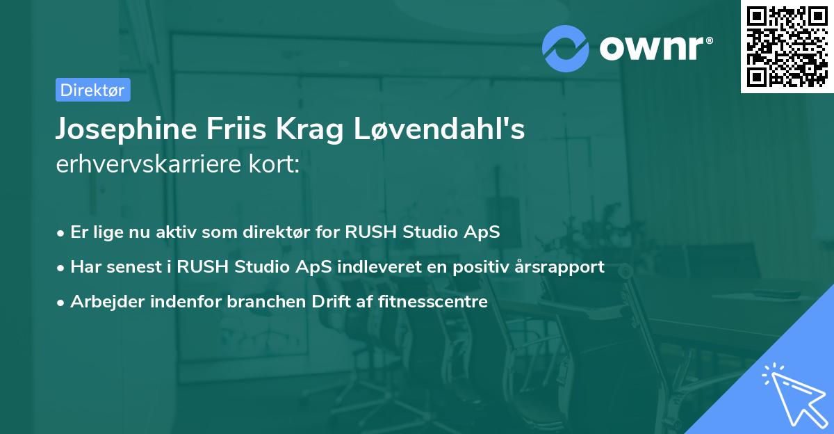 Josephine Friis Krag Løvendahl's erhvervskarriere kort