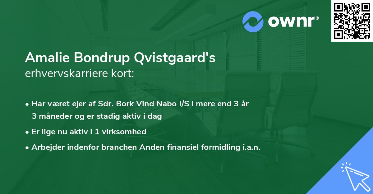 Amalie Bondrup Qvistgaard's erhvervskarriere kort