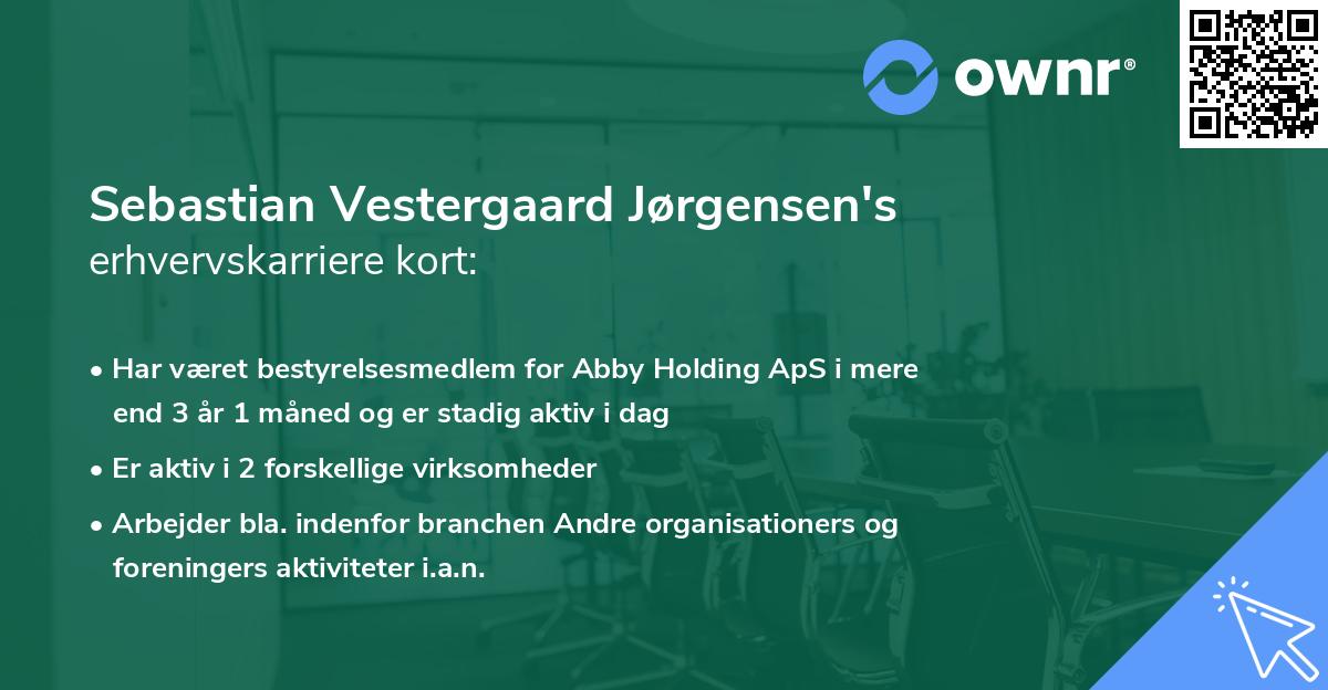 Sebastian Vestergaard Jørgensen's erhvervskarriere kort