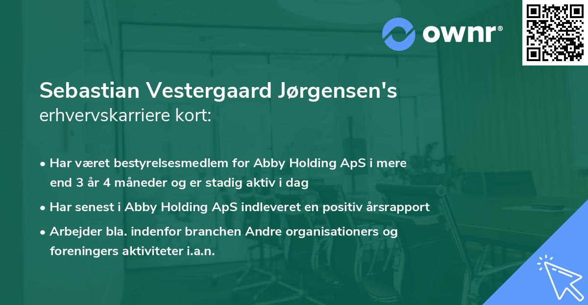 Sebastian Vestergaard Jørgensen's erhvervskarriere kort