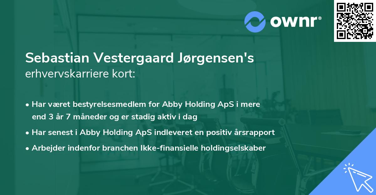 Sebastian Vestergaard Jørgensen's erhvervskarriere kort
