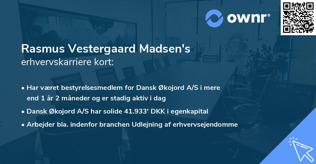 Rasmus Vestergaard Madsen's erhvervskarriere kort