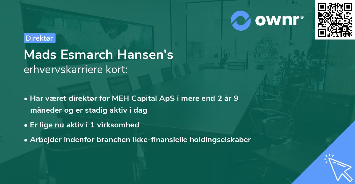 Mads Esmarch Hansen's erhvervskarriere kort
