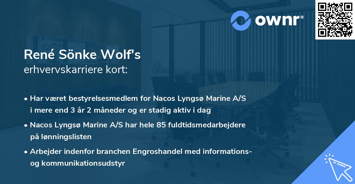 René Sönke Wolf's erhvervskarriere kort