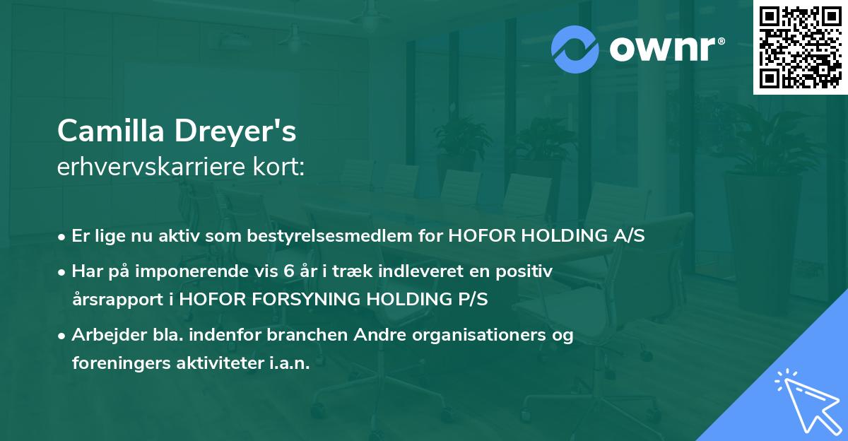 Camilla Dreyer's erhvervskarriere kort
