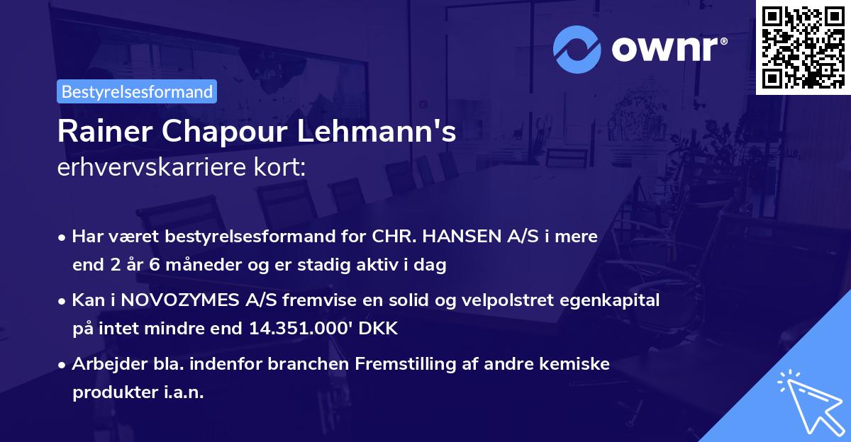 Rainer Chapour Lehmann's erhvervskarriere kort
