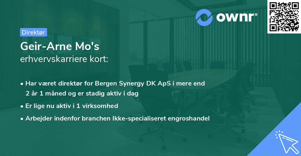 Geir-Arne Mo's erhvervskarriere kort