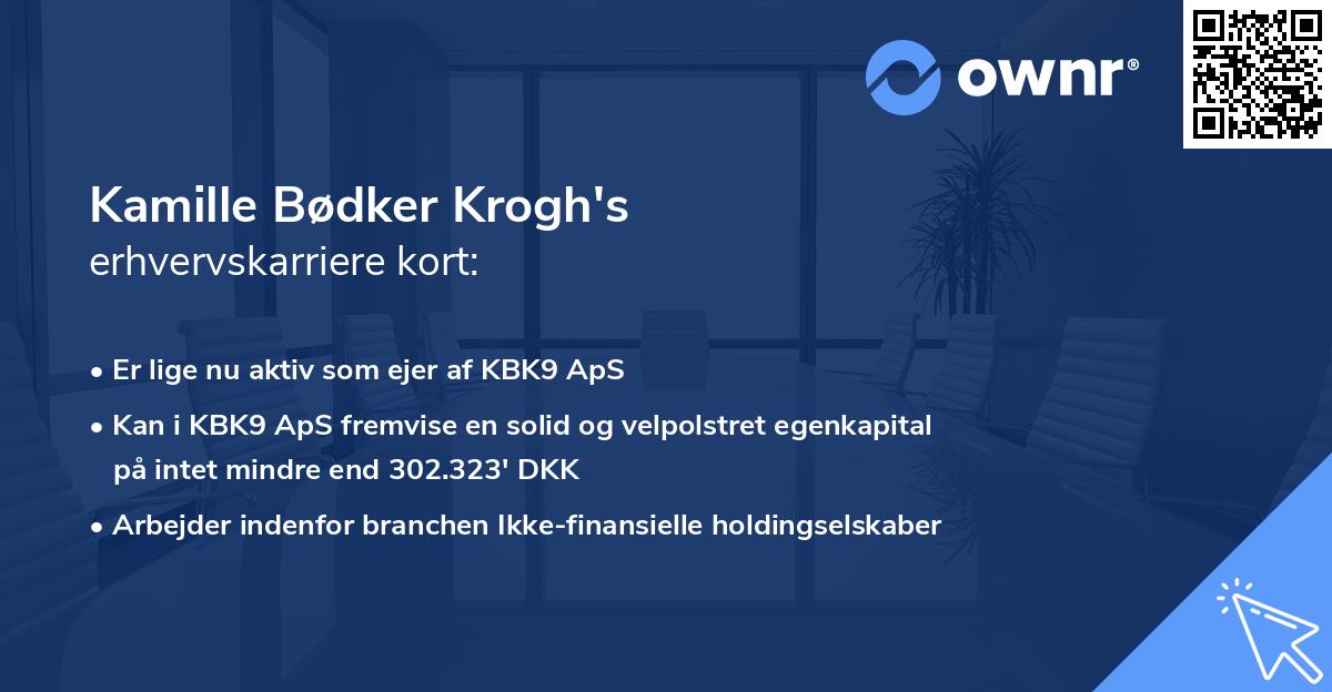 Kamille Bødker Krogh's erhvervskarriere kort