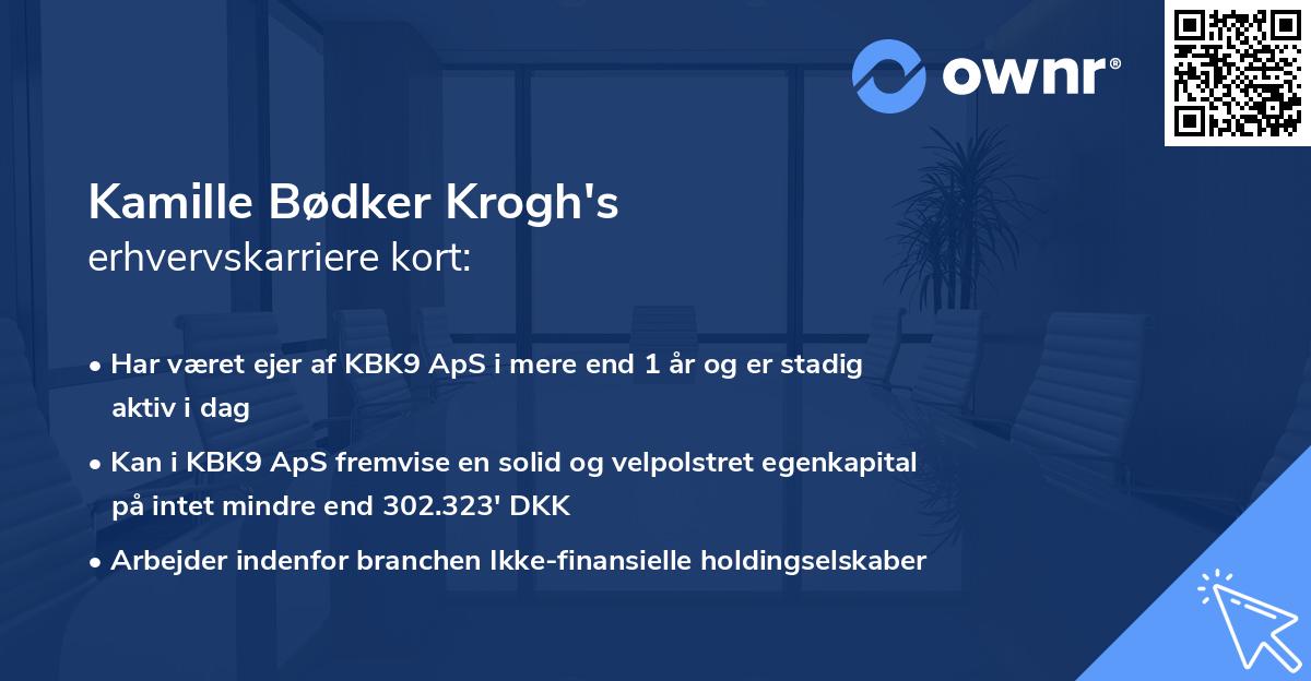 Kamille Bødker Krogh's erhvervskarriere kort