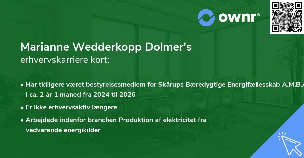 Marianne Wedderkopp Dolmer's erhvervskarriere kort