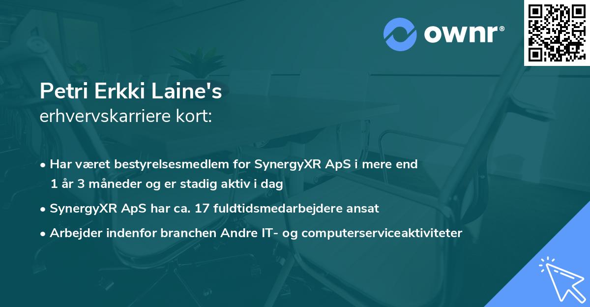 Petri Erkki Laine's erhvervskarriere kort