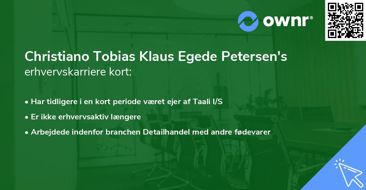 Christiano Tobias Klaus Egede Petersen's erhvervskarriere kort