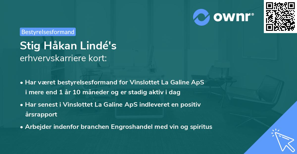 Stig Håkan Lindé's erhvervskarriere kort