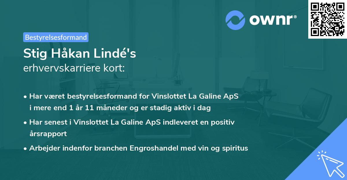 Stig Håkan Lindé's erhvervskarriere kort