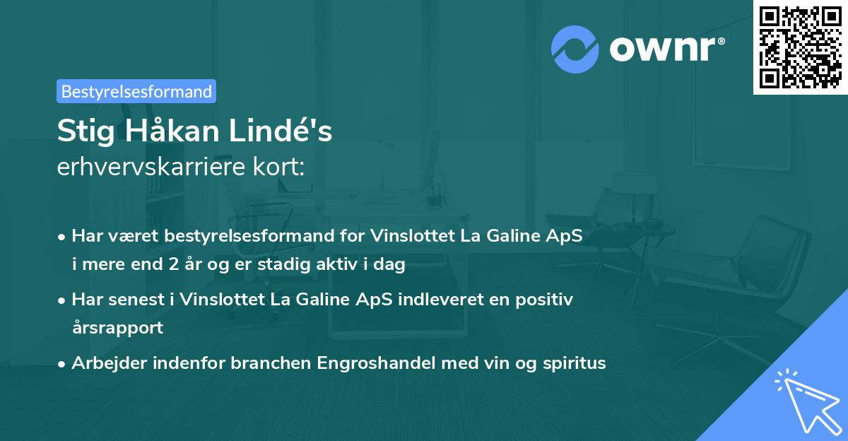 Stig Håkan Lindé's erhvervskarriere kort