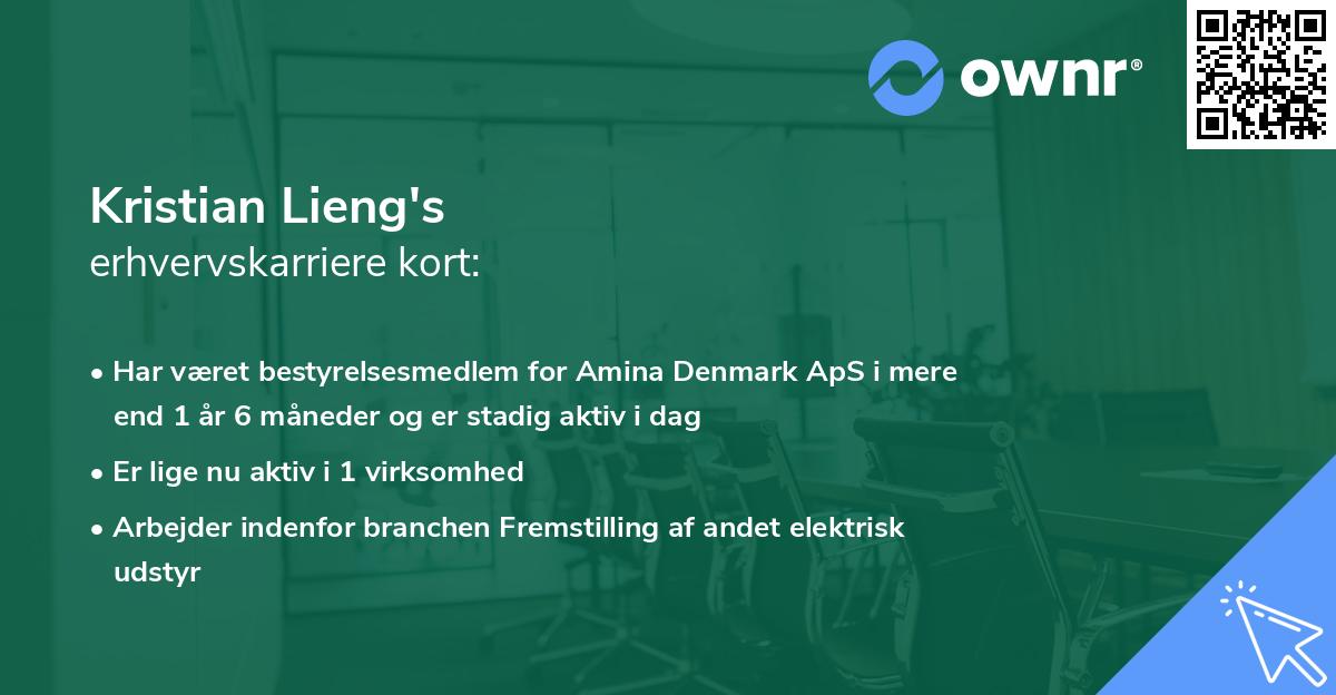 Kristian Lieng's erhvervskarriere kort
