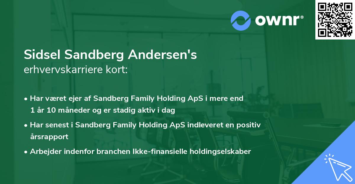 Sidsel Sandberg Andersen's erhvervskarriere kort