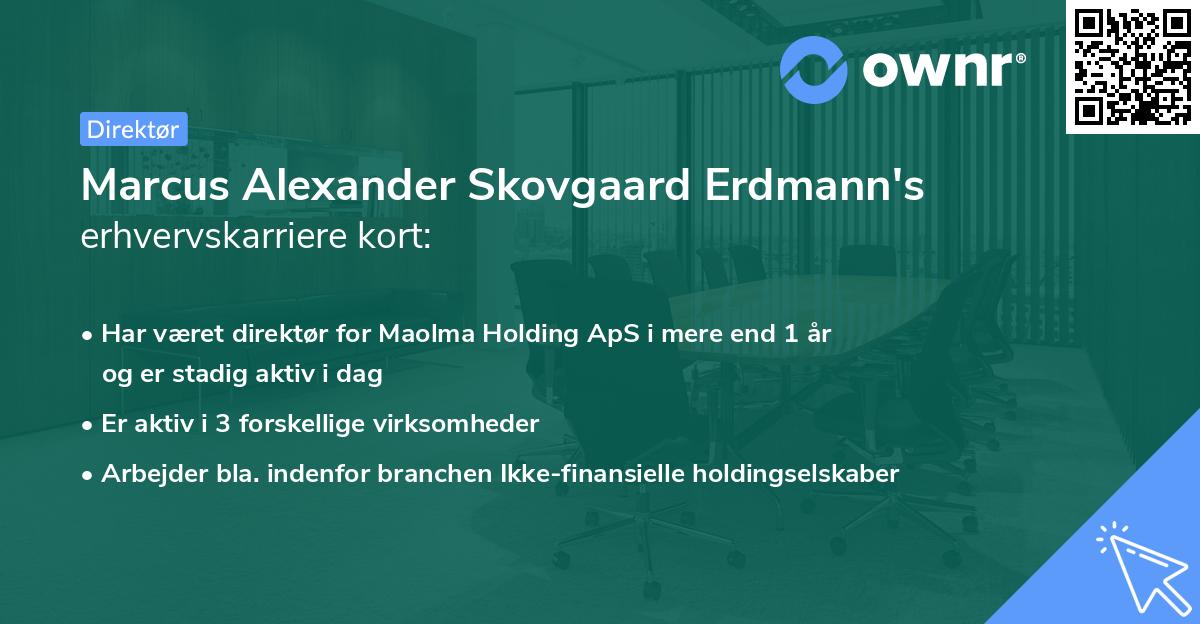 Marcus Alexander Skovgaard Erdmann's erhvervskarriere kort