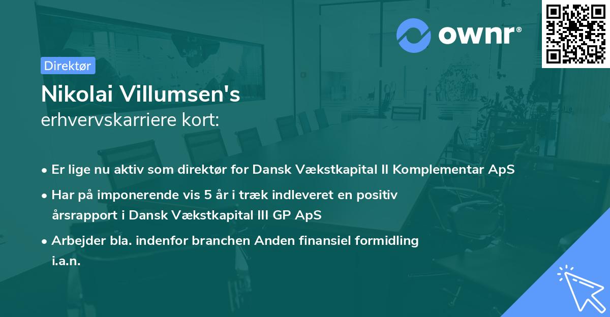 Nikolai Villumsen's erhvervskarriere kort