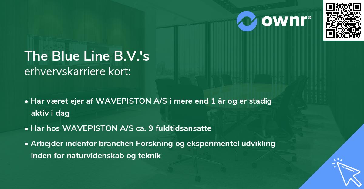 The Blue Line B.V.'s erhvervskarriere kort