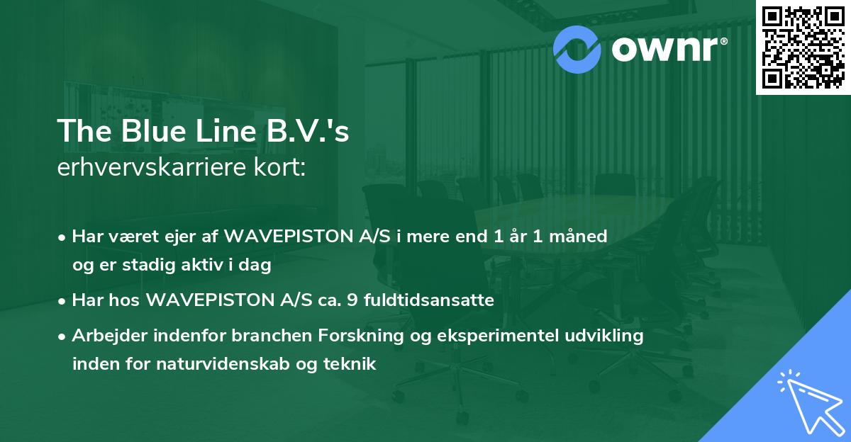 The Blue Line B.V.'s erhvervskarriere kort