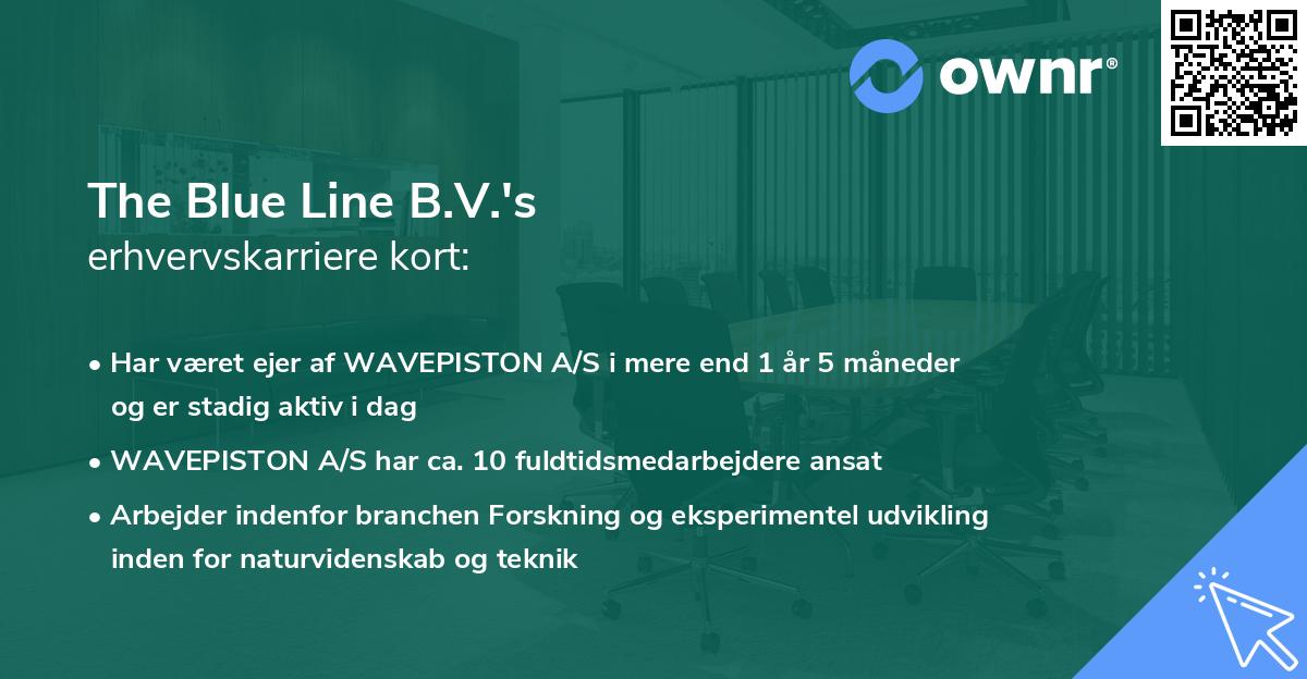 The Blue Line B.V.'s erhvervskarriere kort