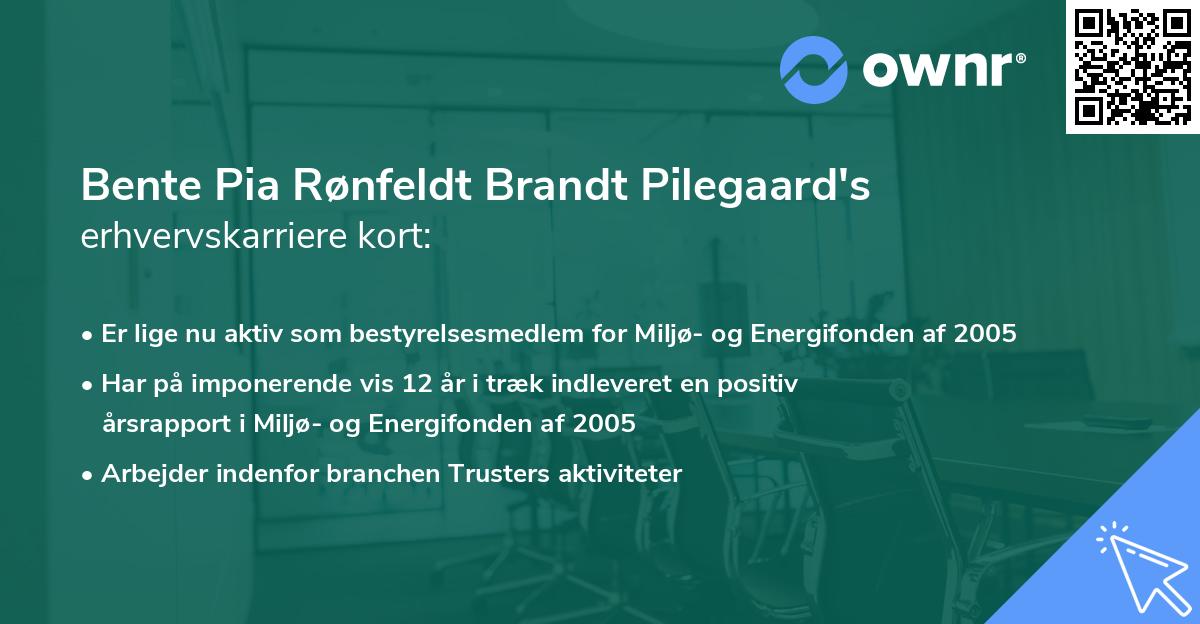 Bente Pia Rønfeldt Brandt Pilegaard's erhvervskarriere kort
