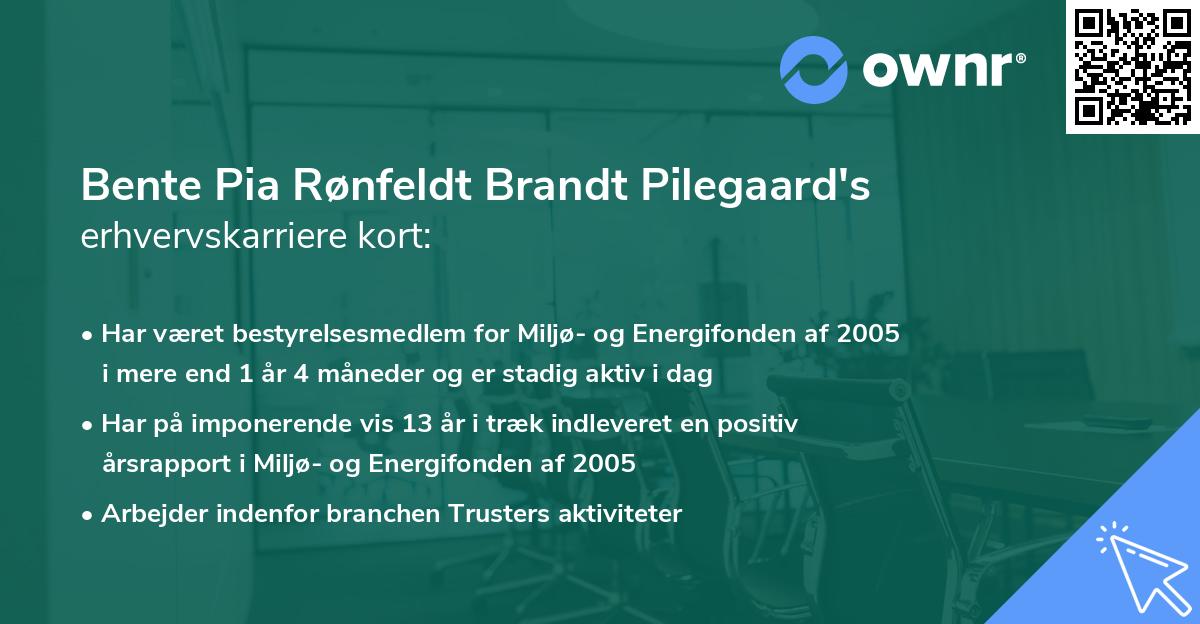 Bente Pia Rønfeldt Brandt Pilegaard's erhvervskarriere kort