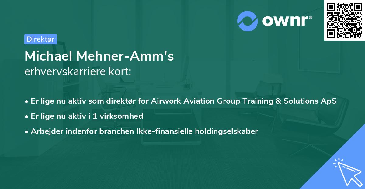 Michael Mehner-Amm's erhvervskarriere kort