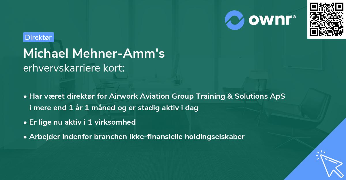 Michael Mehner-Amm's erhvervskarriere kort