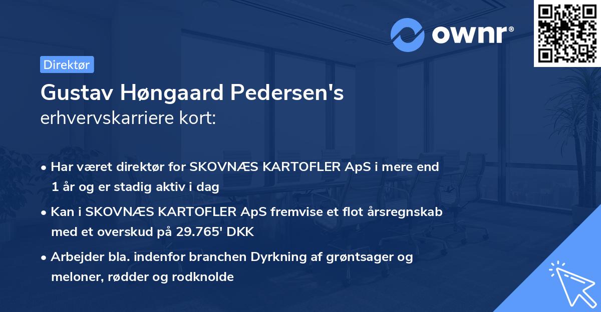 Gustav Høngaard Pedersen's erhvervskarriere kort