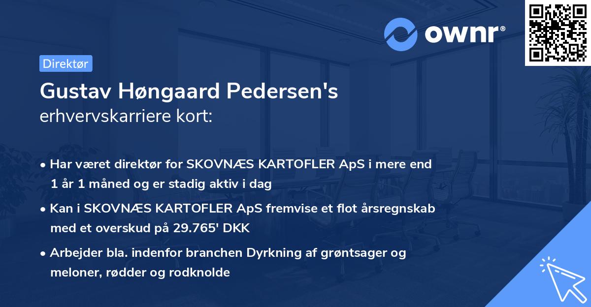 Gustav Høngaard Pedersen's erhvervskarriere kort