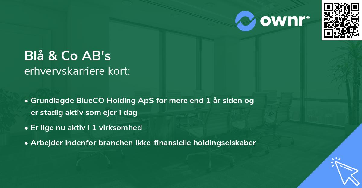 Blå & Co AB's erhvervskarriere kort