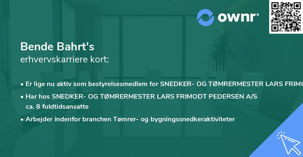 Bende Bahrt's erhvervskarriere kort