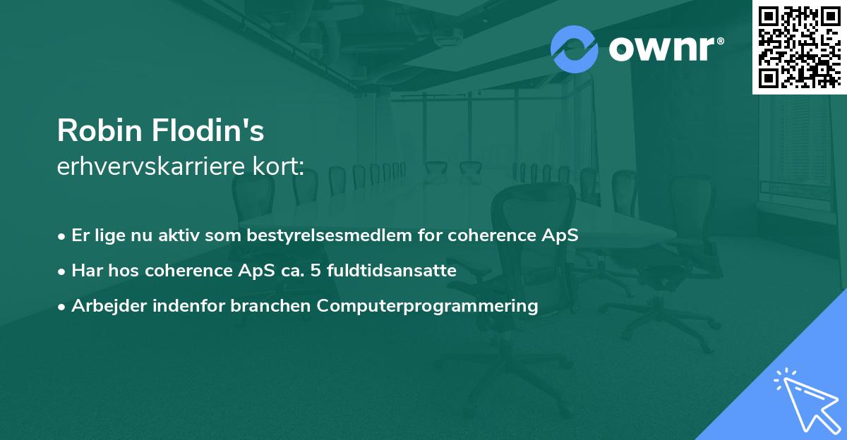 Robin Flodin's erhvervskarriere kort