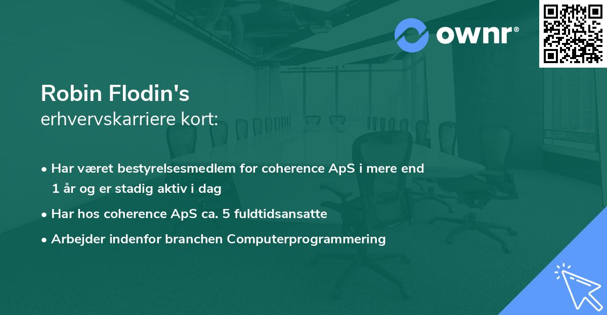 Robin Flodin's erhvervskarriere kort
