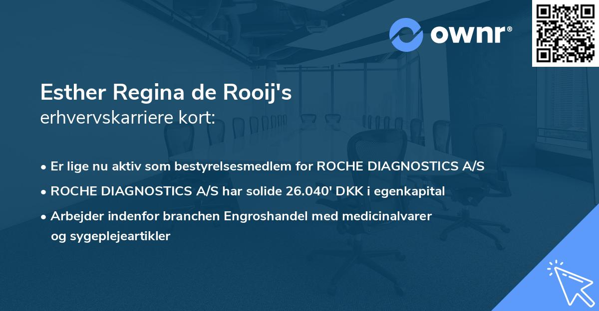 Esther Regina de Rooij's erhvervskarriere kort