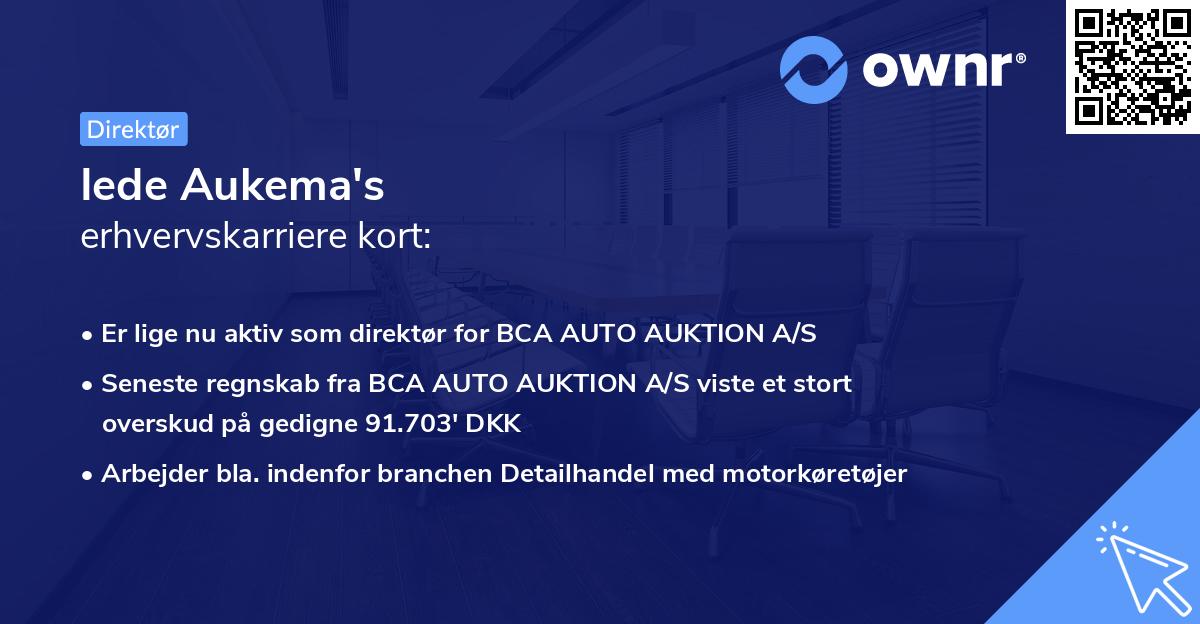 Iede Aukema's erhvervskarriere kort