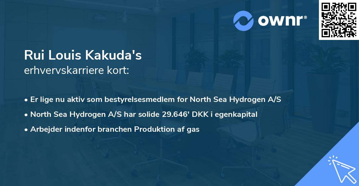 Rui Louis Kakuda's erhvervskarriere kort