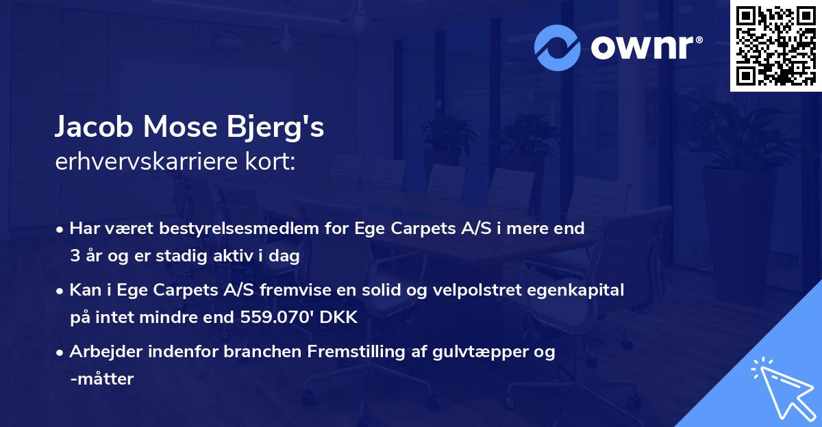Jacob Mose Bjerg's erhvervskarriere kort