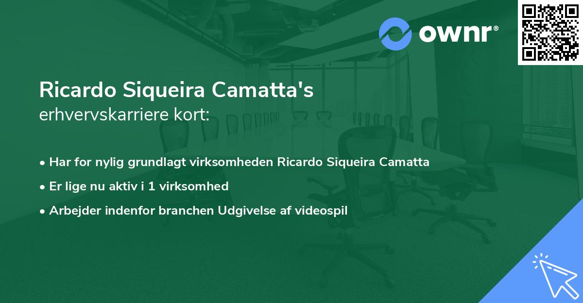 Ricardo Siqueira Camatta's erhvervskarriere kort
