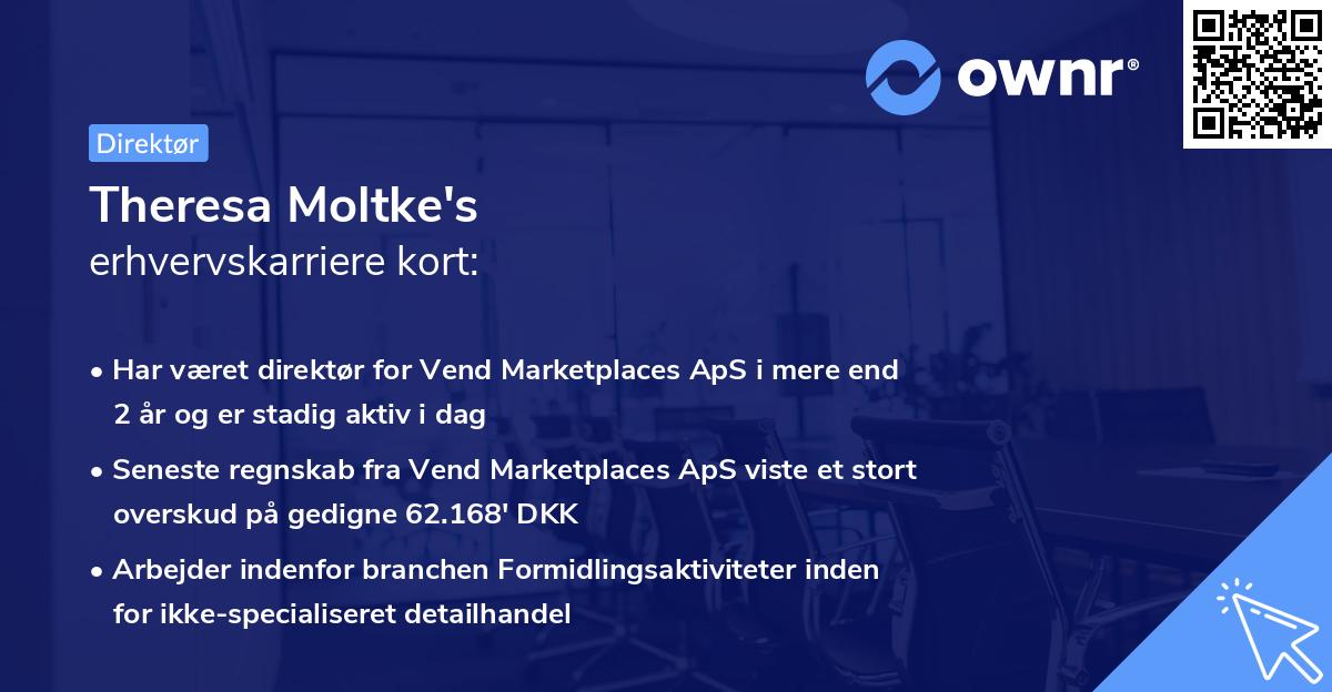 Theresa Moltke's erhvervskarriere kort