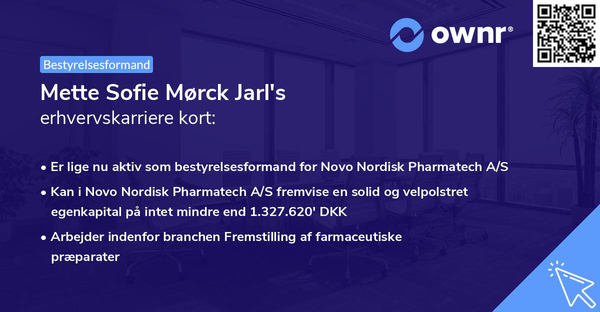 Mette Sofie Mørck Jarl's erhvervskarriere kort