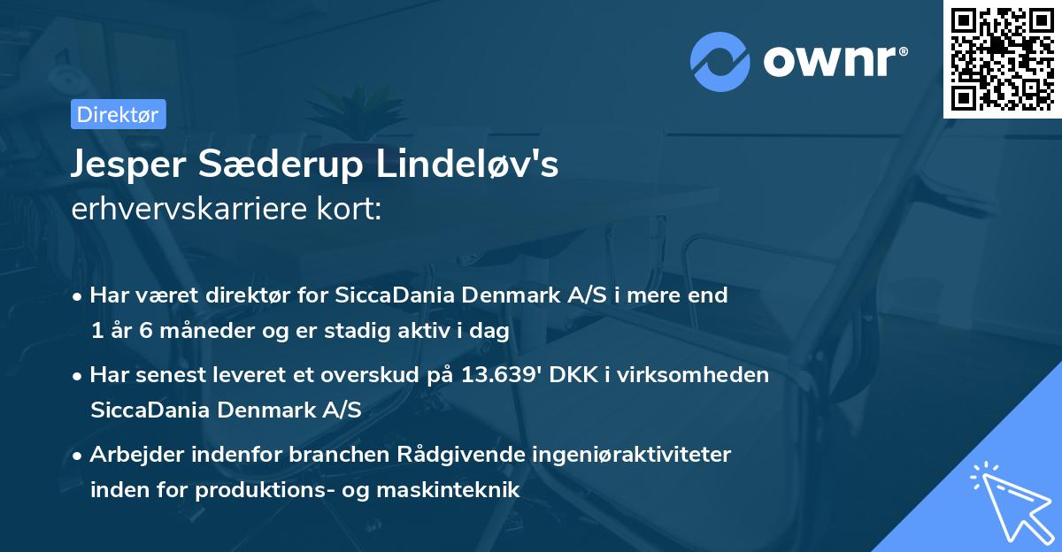 Jesper Sæderup Lindeløv's erhvervskarriere kort