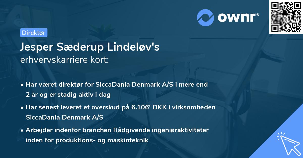 Jesper Sæderup Lindeløv's erhvervskarriere kort