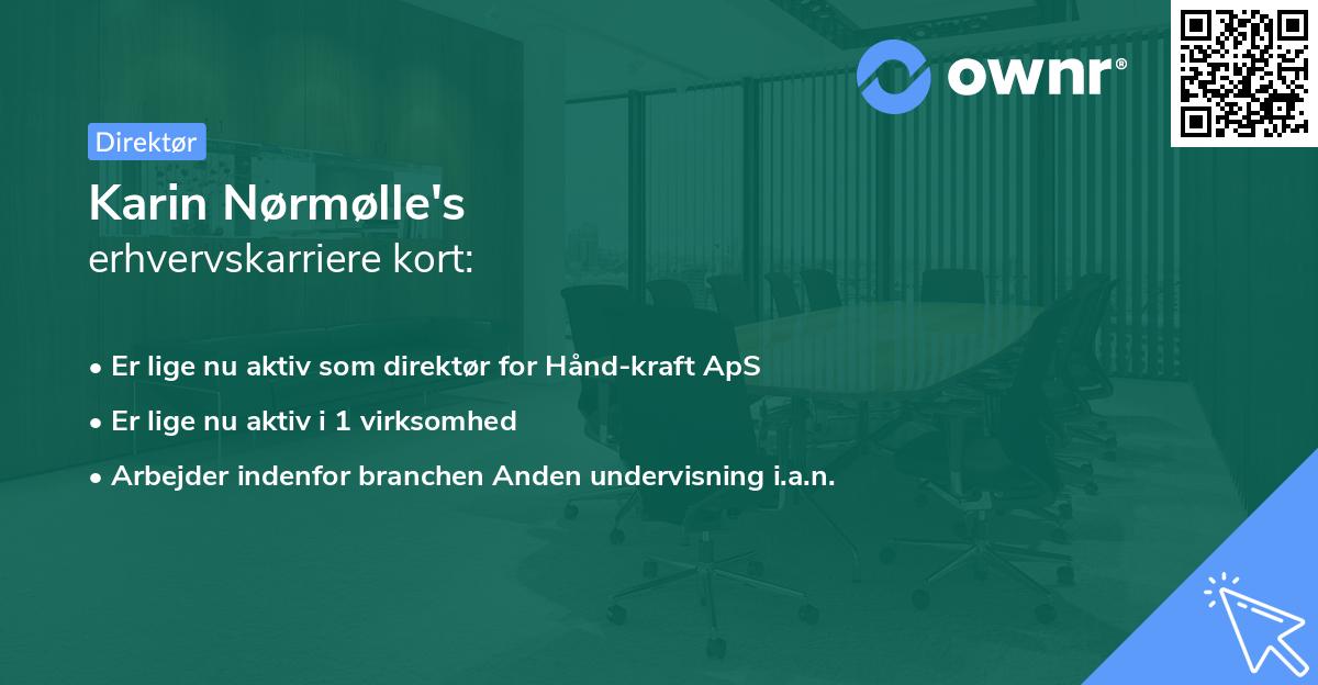 Karin Nørmølle's erhvervskarriere kort