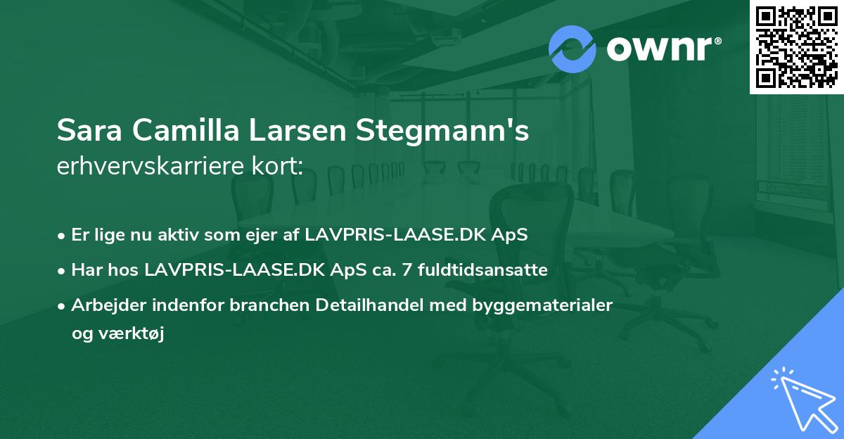 Sara Camilla Larsen Stegmann's erhvervskarriere kort