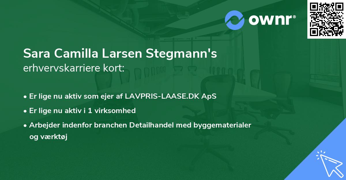 Sara Camilla Larsen Stegmann's erhvervskarriere kort