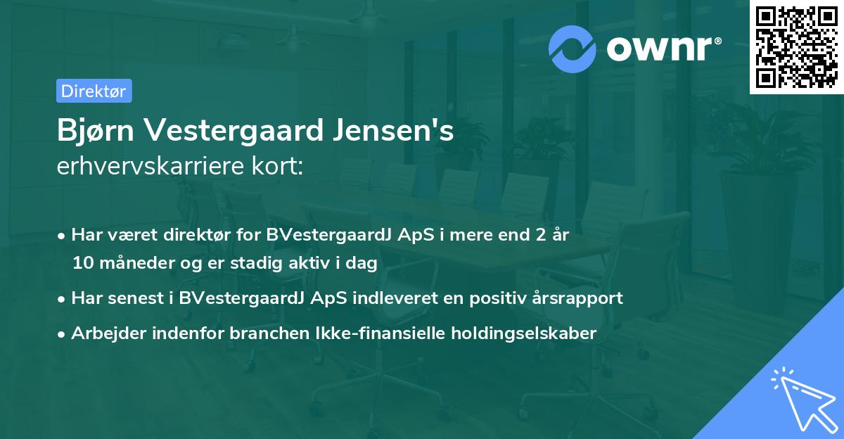 Bjørn Vestergaard Jensen's erhvervskarriere kort